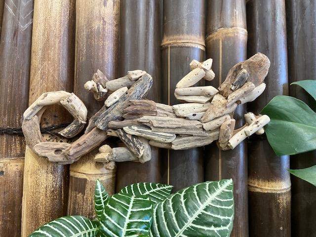 Driftwood Gecko
